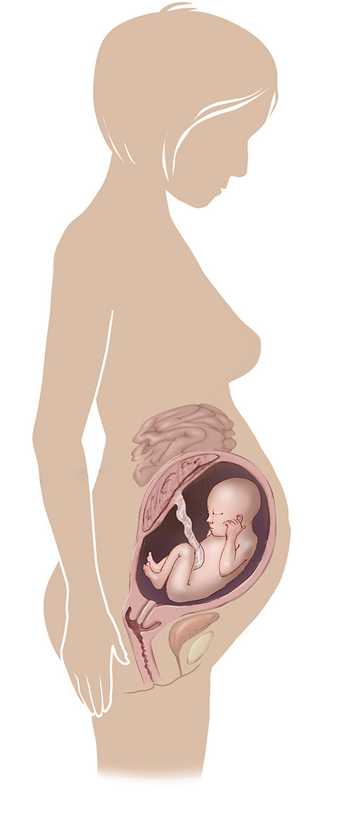Image of 32 week old pregnant women