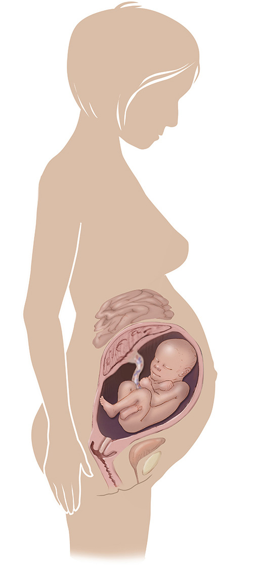 Image of 35 week old pregnant women