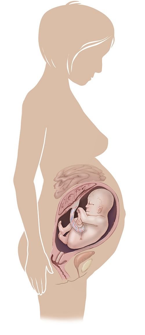 Image of 37 week old pregnant women