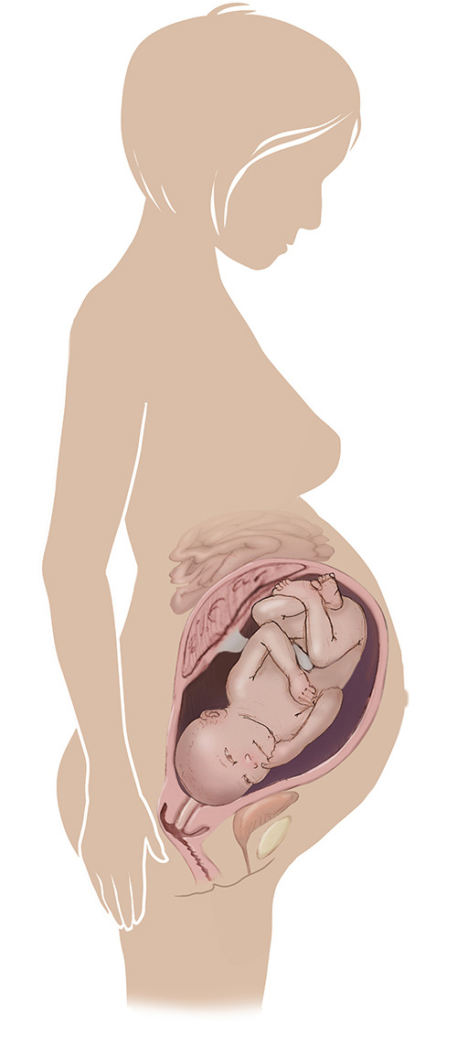 Image of 38 week old pregnant women