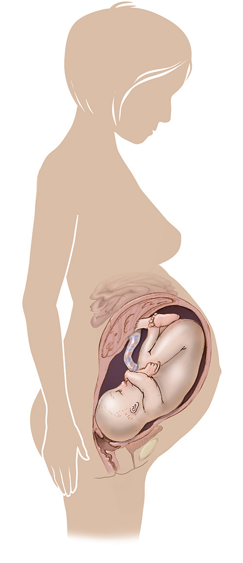Image of 39 week old pregnant women