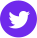Twitter Small Icon