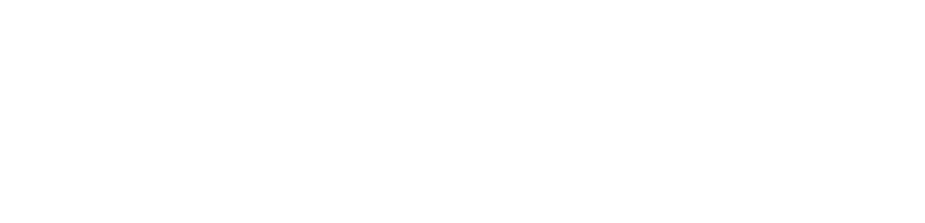 Philips Foundation logo